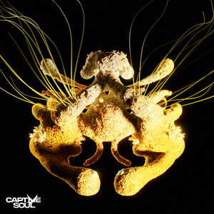 妓女影院永久免费
